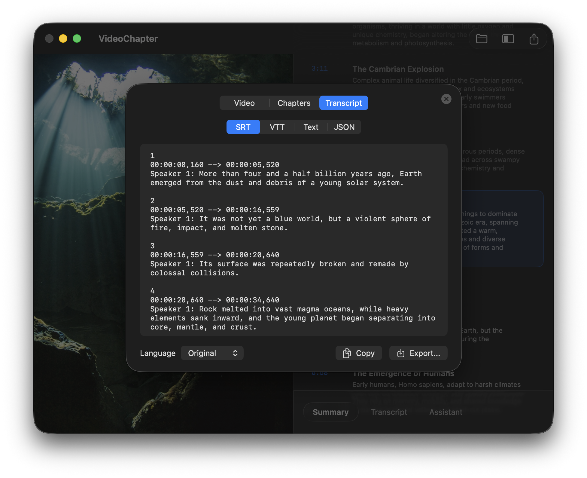 VideoChapter export options for chapters and transcripts
